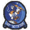 309TH TFS